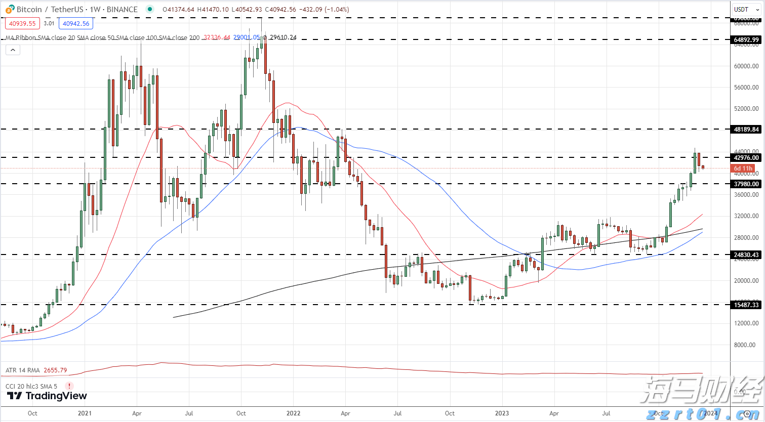 广东湛江：中华白海豚种群稳定 生态保护显成效