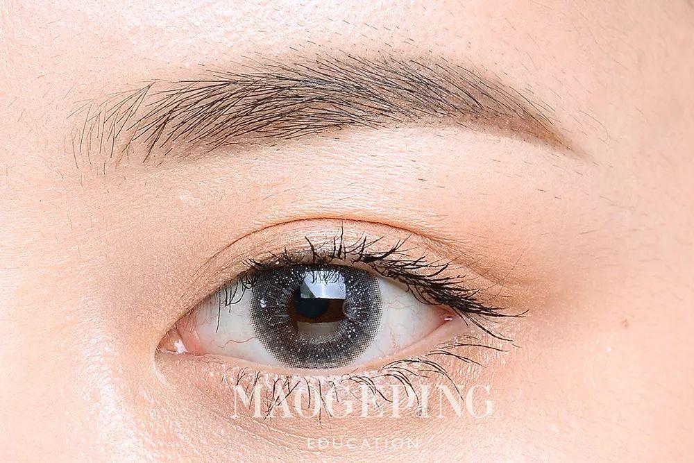 十五运会和残特奥会购票渠道公布，5种方式、N种支付随心选