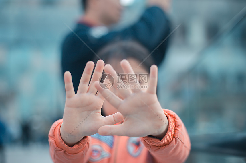 我国普氏野马数量超900匹