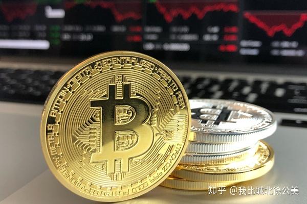 国宝“兄弟”冰城安家！大熊猫“芝士”“芝麻”抵达哈尔滨