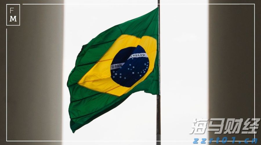 好大一“鸵”！鸵鸟来了广东也能被养成“走地鸡”